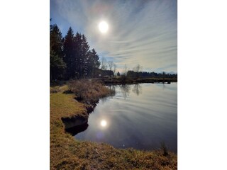 Casa per le vacanze Lechbruck am See Ambiente 16