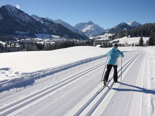 Appartamento per vacanze Riezlern Ambiente 37