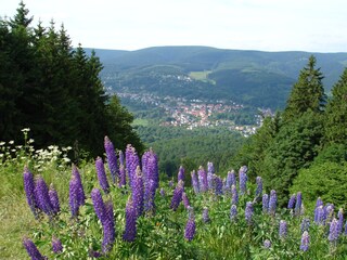 Appartamento per vacanze Suhl Ambiente 15