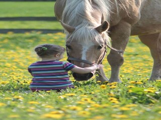 Boerderij Retschow Omgeving 33