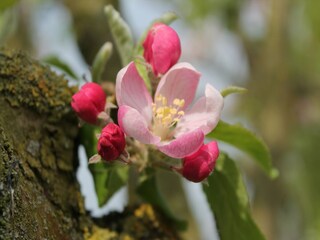Boerderij Retschow  38