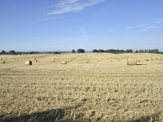 Fattoria Retschow Ambiente 27