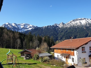 View from the balkony in the summer