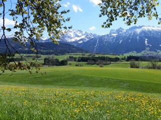 Pfrontner Tal im Frühling