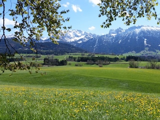 Pfrontner valley in spring