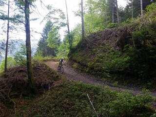 Mountain biking