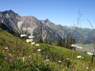 Appartamento per vacanze Riezlern Ambiente 15