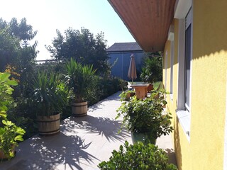 Appartamento per vacanze St. Andrä am Zicksee Registrazione all'aperto 3