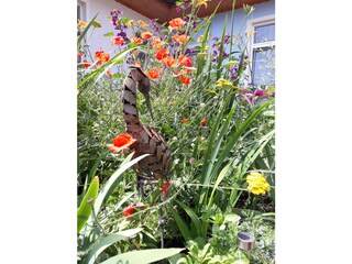 Appartamento per vacanze St. Andrä am Zicksee Registrazione all'aperto 15