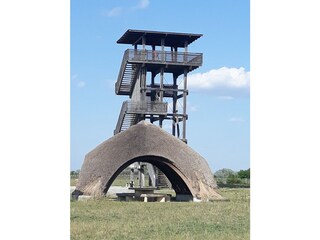 Appartamento per vacanze St. Andrä am Zicksee Ambiente 36