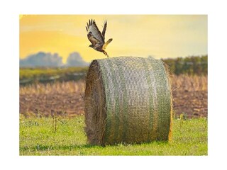 Appartamento per vacanze St. Andrä am Zicksee Ambiente 40