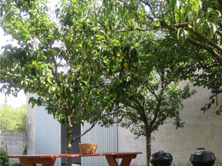 Appartamento per vacanze St. Andrä am Zicksee Registrazione all'aperto 4