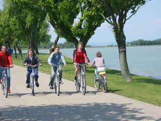 Appartamento per vacanze St. Andrä am Zicksee Ambiente 35