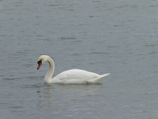 Appartamento per vacanze Zingst Ambiente 22