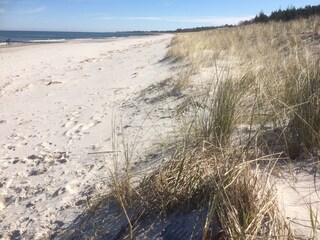 Appartamento per vacanze Zingst Ambiente 23