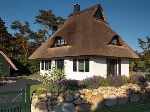 Ferienhaus Seeadler 11