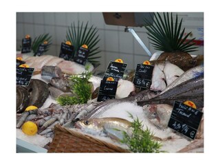 Casa per le vacanze Plozévet Ambiente 17