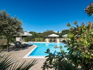 Appartamento per vacanze Petrcane Registrazione all'aperto 9