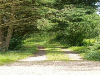 Maison de vacances Mûrs-Erigné Environnement 24