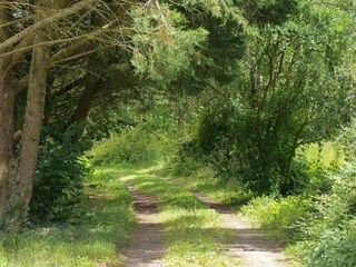Maison de vacances Mûrs-Erigné Environnement 30