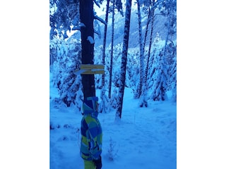 Casa per le vacanze Sautens Ambiente 39