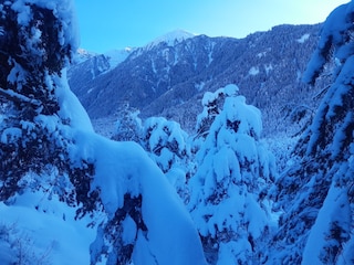 Winterwanderweg hinterm Haus