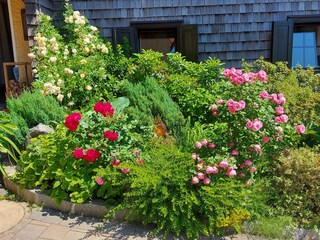 Appartamento per vacanze Unterach am Attersee Registrazione all'aperto 7