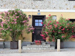 Bauernhaus