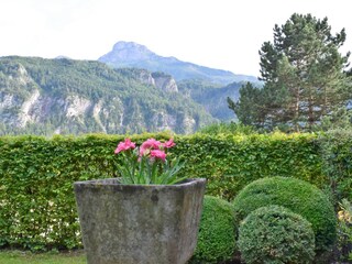 Appartamento per vacanze Unterach am Attersee Registrazione all'aperto 5