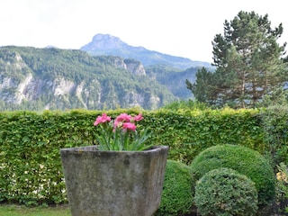 Blick zum Schafberg