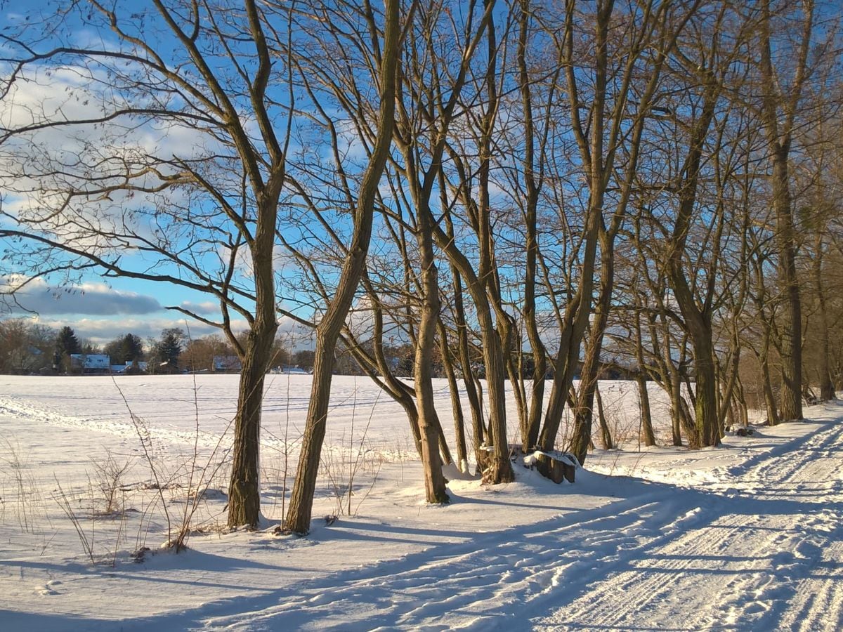 Winter vor der Tür