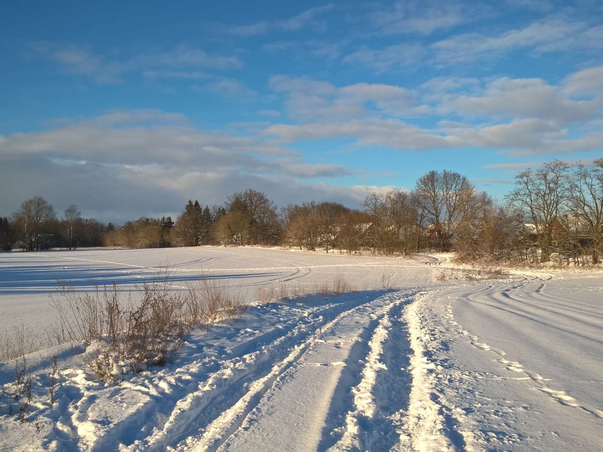 Winter auf dem Feld