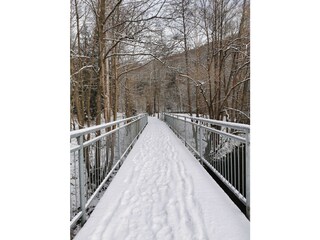 Holiday apartment Streckewalde Environment 29