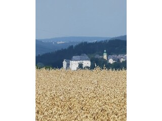 Blick auf Schloss Wolkenstein