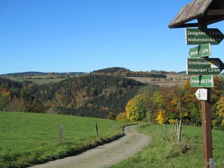 Holiday apartment Streckewalde Environment 23