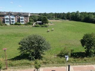 Appartamento per vacanze Sahlenburg Registrazione all'aperto 5