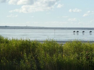 Appartamento per vacanze Sahlenburg Ambiente 32