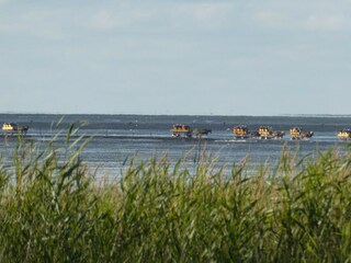 Appartamento per vacanze Sahlenburg Ambiente 34