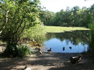 Appartamento per vacanze Sahlenburg Ambiente 35