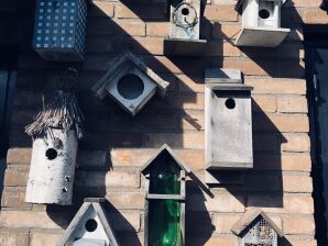 Appartamento vacanze De Strandloper