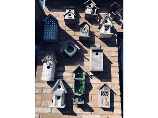 Appartamento per vacanze Egmond aan Zee Registrazione all'aperto 2