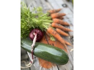 Wir haben ein Gemüse Garten im dunen