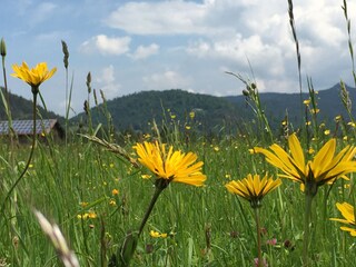 Apartamento de vacaciones Krün Entorno 28