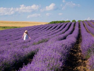 Casa per le vacanze Villars Ambiente 18