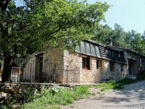 Schönes Ferienhaus mit viel Charme und Swimmingpool - 413 VIL - Villars - image1