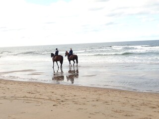 Casa per le vacanze Julianadorp Ambiente 24