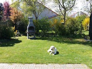 Komplett umzäunter , sonniger Garten mit Gartengrill