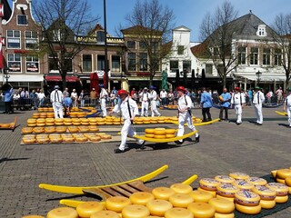 Käsemarkt in Alkmaar