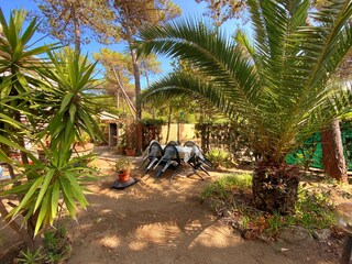 Villa Castagneto Carducci Grabación al aire libre 15