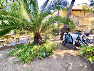 Villa Castagneto Carducci Environnement 12